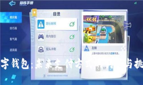 数字钱包：未来支付方式的创新与挑战
