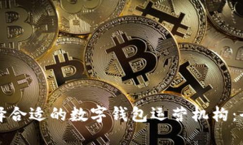 如何选择合适的数字钱包运营机构：全面指南