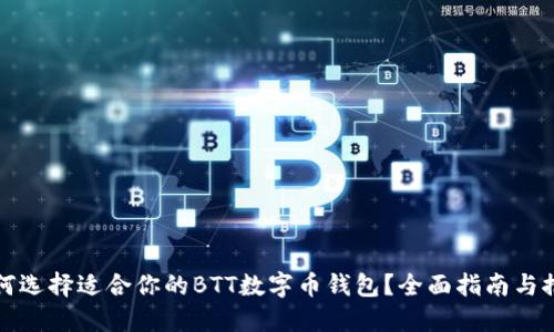 如何选择适合你的BTT数字币钱包？全面指南与推荐