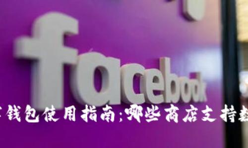 上海数字钱包使用指南：哪些商店支持数字支付？