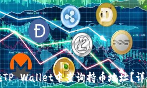   
如何在TP Wallet中查询持币地址？详尽指南