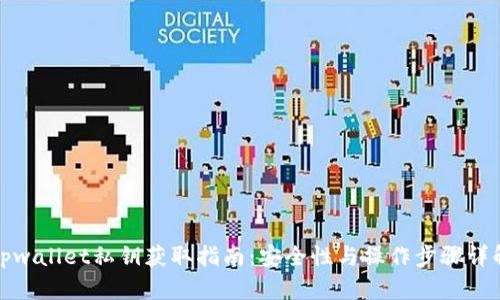 tpwallet私钥获取指南：安全性与操作步骤详解