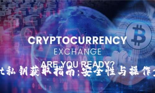 tpwallet私钥获取指南：安全性与操作步骤详解