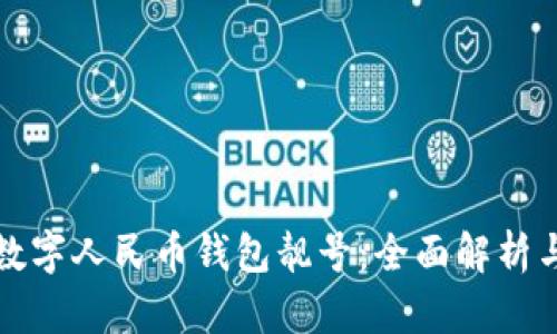 如何选择数字人民币钱包靓号：全面解析与购号指南