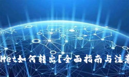 tpwallet如何转出？全面指南与注意事项