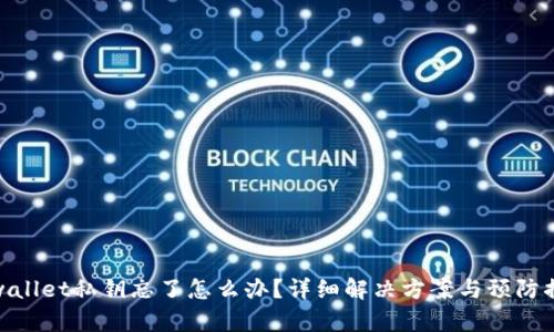 tpwallet私钥忘了怎么办？详细解决方案与预防措施