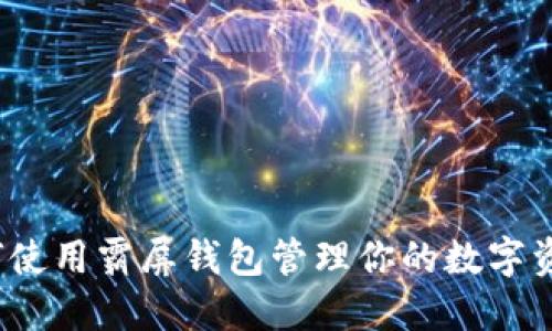 如何使用霸屏钱包管理你的数字资产？