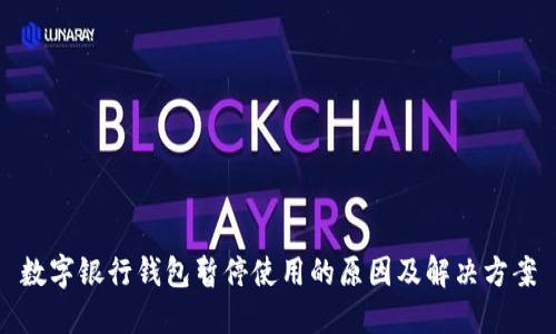 数字银行钱包暂停使用的原因及解决方案