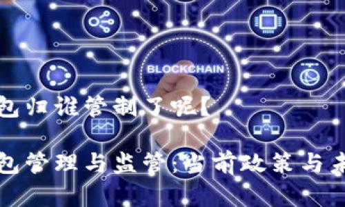 数字钱包归谁管制了呢？

数字钱包管理与监管：当前政策与未来展望