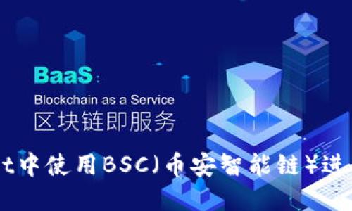 如何在TPWallet中使用BSC（币安智能链）进行加密货币交易