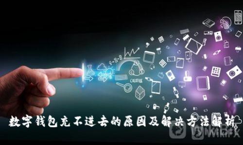 数字钱包充不进去的原因及解决方法解析
