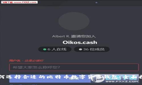 如何选择合适的比特币数字货币钱包：全面指南