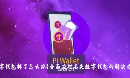 数字钱包掉了怎么办？全面应对丢失数字钱包的解决方案