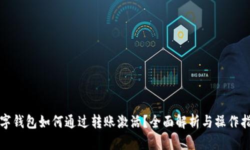 数字钱包如何通过转账激活？全面解析与操作指南