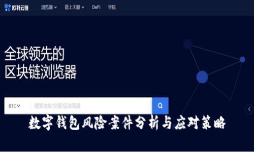 数字钱包风险案件分析与应对策略