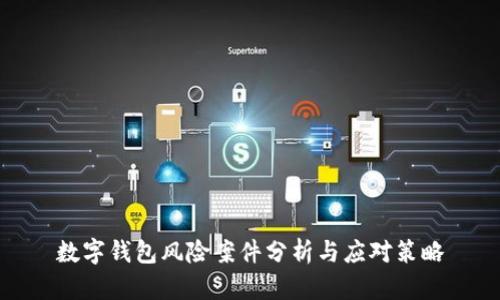 数字钱包风险案件分析与应对策略