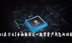 TPWallet是什么？全面解析这