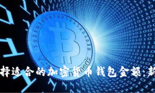 如何选择适合的加密货币钱包金额：新手指南