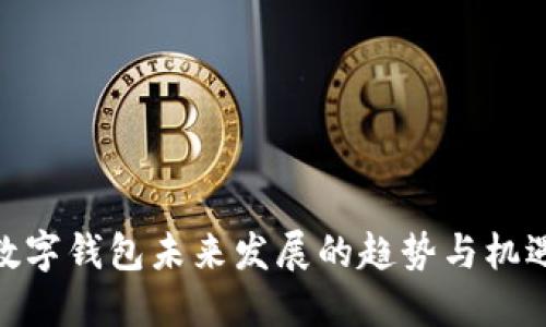 数字钱包未来发展的趋势与机遇
