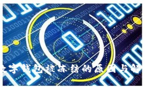 兴业数字钱包被冻结的原因与解决办法
