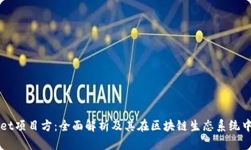 TPWallet项目方：全面解析及其在区块链生态系统中的作用