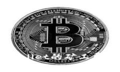了解狗狗币TPWallet的矿工费