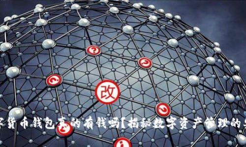 数字货币钱包真的有钱吗？揭秘数字资产管理的奥秘