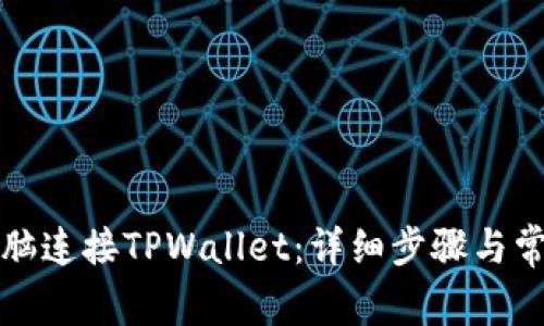 如何通过电脑连接TPWallet：详细步骤与常见问题解答