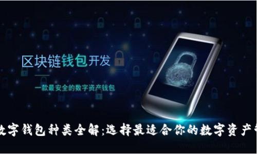 区块链数字钱包种类全解：选择最适合你的数字资产管理工具