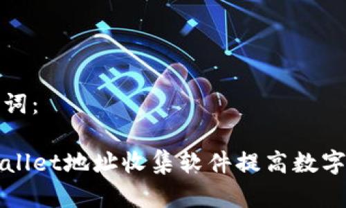 思考的和关键词：

如何使用TPWallet地址收集软件提高数字资产管理效率