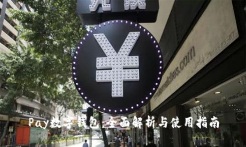 Pay数字钱包：全面解析与使用指南
