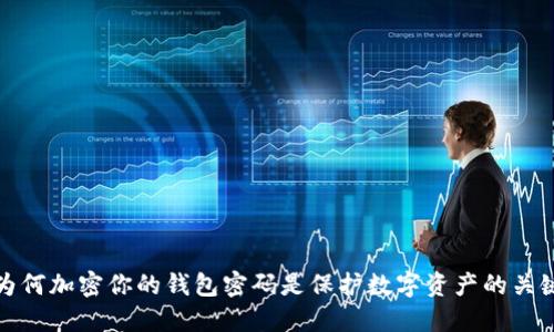 为何加密你的钱包密码是保护数字资产的关键