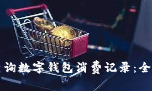 如何查询数字钱包消费记录：全面指南