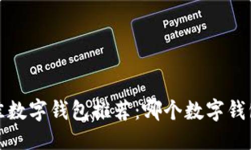 优质

2023年最佳数字钱包推荐：哪个数字钱包最适合您？