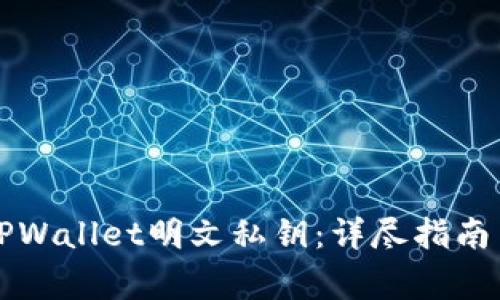 如何安全管理TPWallet明文私钥：详尽指南与常见问题解析
