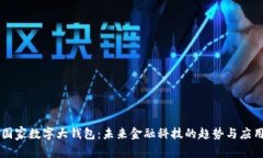 国家数字大钱包：未来金