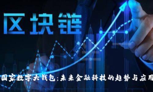 国家数字大钱包：未来金融科技的趋势与应用