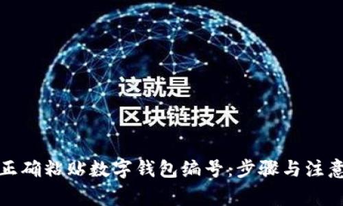 如何正确粘贴数字钱包编号：步骤与注意事项