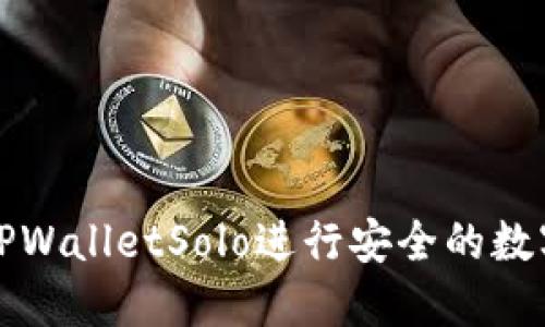 如何使用TPWalletSolo进行安全的数字资产管理