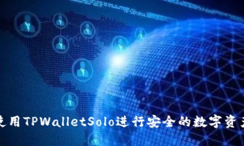 如何使用TPWalletSolo进行安全的数字资产管理