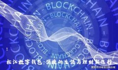:松江数字钱包：便捷的生
