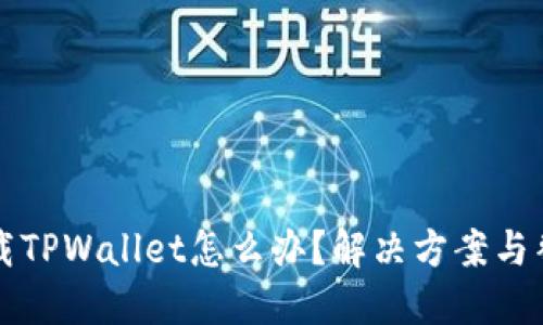 大陆不允许下载TPWallet怎么办？解决方案与替代选项大汇总