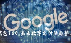 数字钱包160：未来数字支