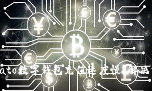 为什么Potato数字钱包充值速度慢？解决方法与建议