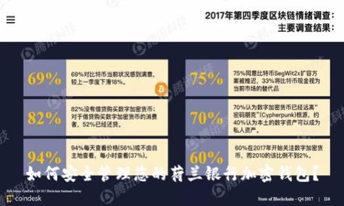 如何安全管理您的荷兰银行加密钱包？