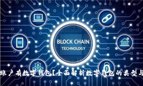 什么账户有数字钱包？全面解析数字钱包的类型与应用