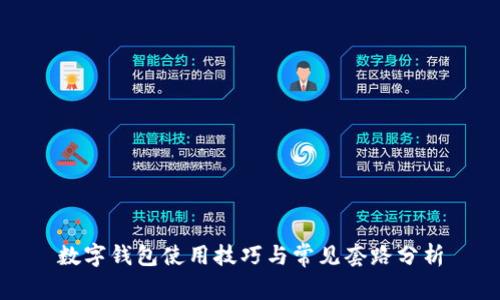 数字钱包使用技巧与常见套路分析