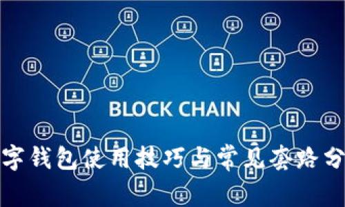 数字钱包使用技巧与常见套路分析