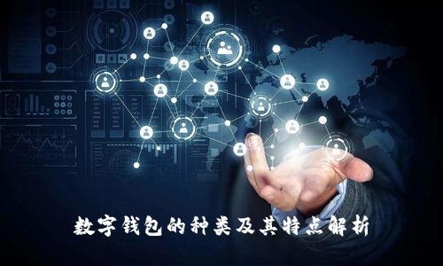 数字钱包的种类及其特点解析