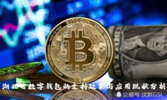 湖北省数字钱包的支持政